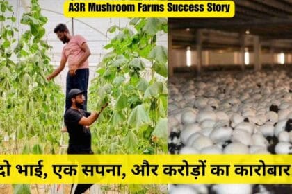 A3R Mushroom Farms Success Story