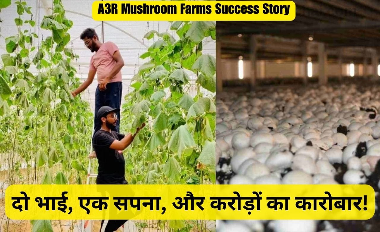 A3R Mushroom Farms Success Story