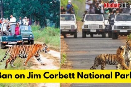 Ban on Jim Corbett National Park