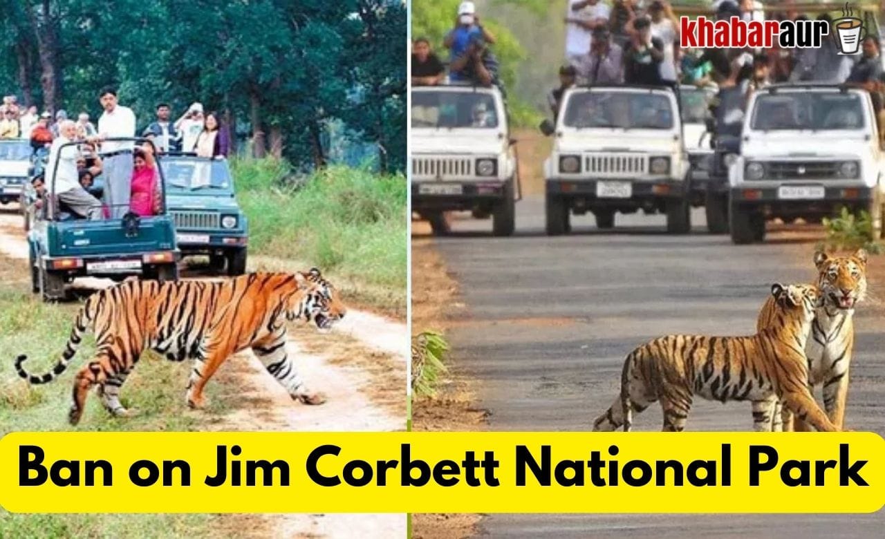 Ban on Jim Corbett National Park